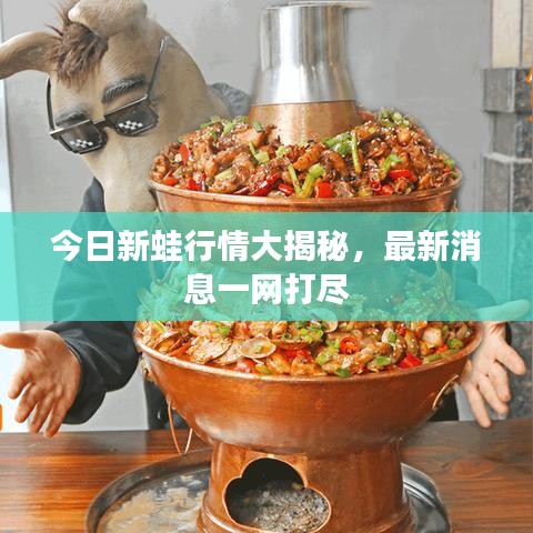 今日新蛙行情大揭秘，最新消息一网打尽