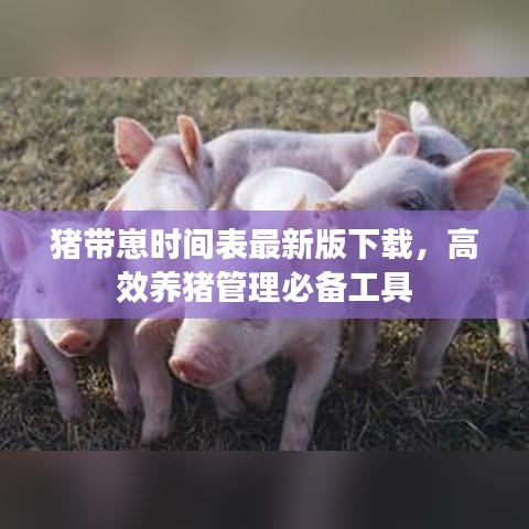 猪带崽时间表最新版下载，高效养猪管理必备工具