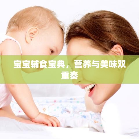 宝宝辅食宝典，营养与美味双重奏