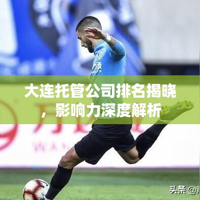 大连托管公司排名揭晓，影响力深度解析