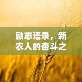 励志语录，新农人的奋斗之路，播种希望与未来