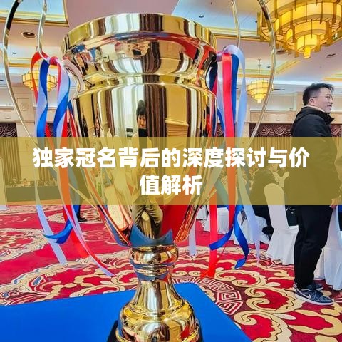 独家冠名背后的深度探讨与价值解析