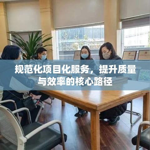 规范化项目化服务，提升质量与效率的核心路径