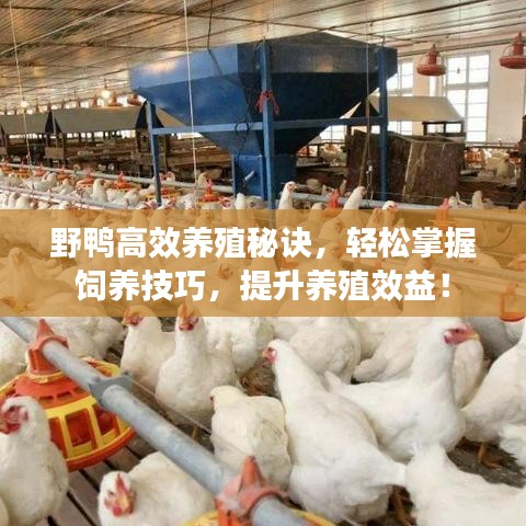 专家团队 第9页