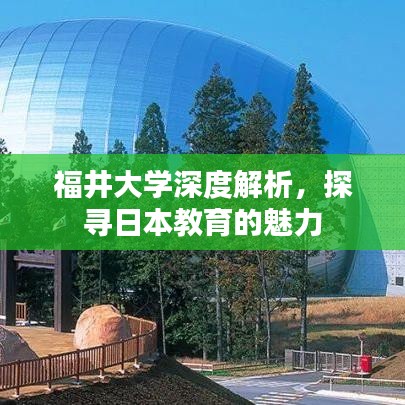 福井大学深度解析，探寻日本教育的魅力
