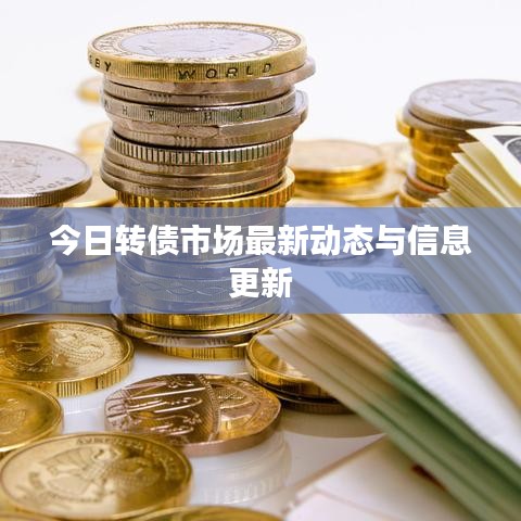 今日转债市场最新动态与信息更新