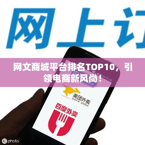 网文商城平台排名TOP10，引领电商新风尚！