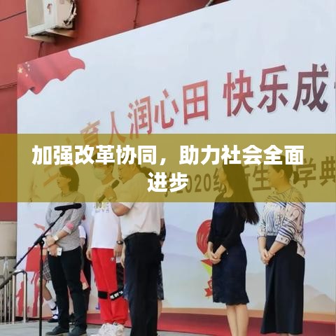 加强改革协同，助力社会全面进步