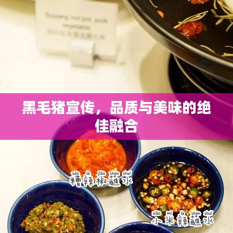 人前显贵