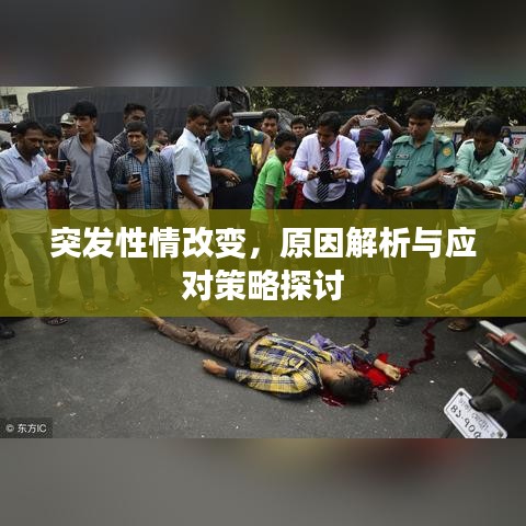 龙飞凤舞
