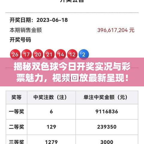 揭秘双色球今日开奖实况与彩票魅力，视频回放最新呈现！
