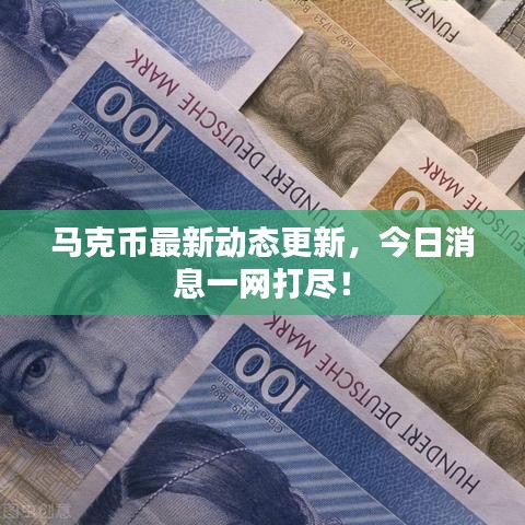 马克币最新动态更新，今日消息一网打尽！