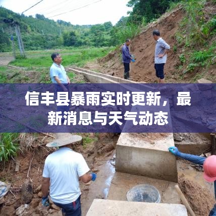 信丰县暴雨实时更新，最新消息与天气动态