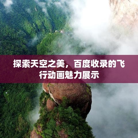 探索天空之美，百度收录的飞行动画魅力展示