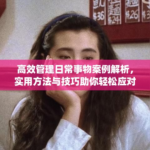 高效管理日常事物案例解析，实用方法与技巧助你轻松应对繁杂事务