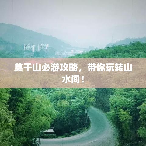 莫干山必游攻略，带你玩转山水间！