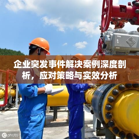 企业突发事件解决案例深度剖析，应对策略与实效分析