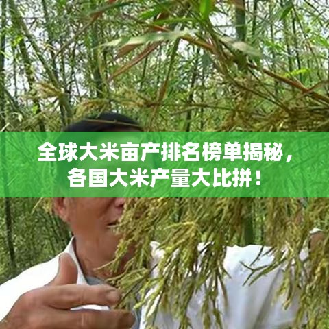 全球大米亩产排名榜单揭秘，各国大米产量大比拼！
