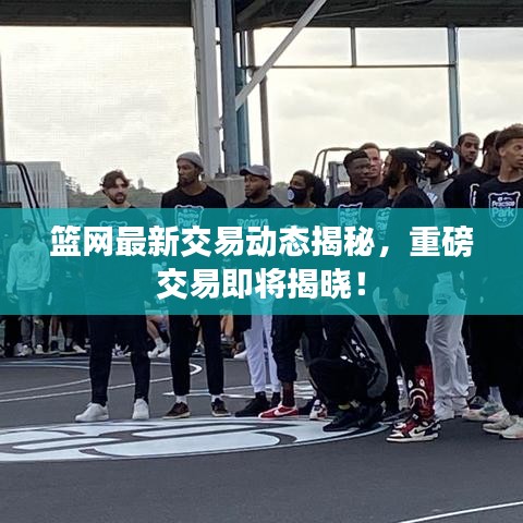 篮网最新交易动态揭秘，重磅交易即将揭晓！