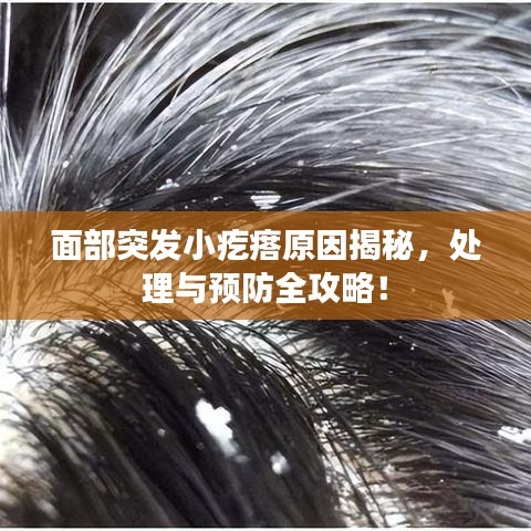 面部突发小疙瘩原因揭秘，处理与预防全攻略！