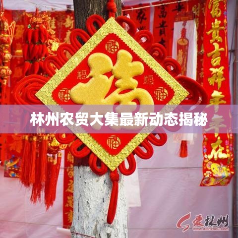 林州农贸大集最新动态揭秘