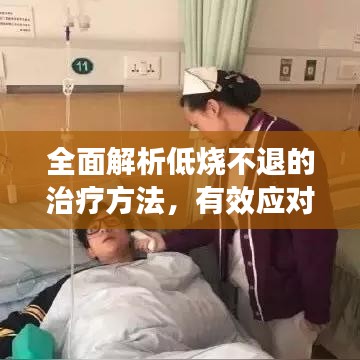 全面解析低烧不退的治疗方法，有效应对策略，助你快速康复！