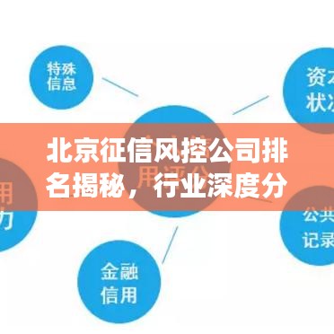 北京征信风控公司排名揭秘，行业深度分析重磅出炉！