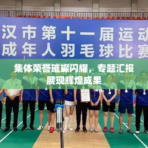 集体荣誉璀璨闪耀，专题汇报展现辉煌成果