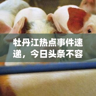 牡丹江热点事件速递，今日头条不容错过！