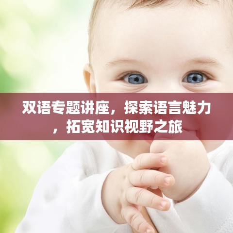 双语专题讲座，探索语言魅力，拓宽知识视野之旅