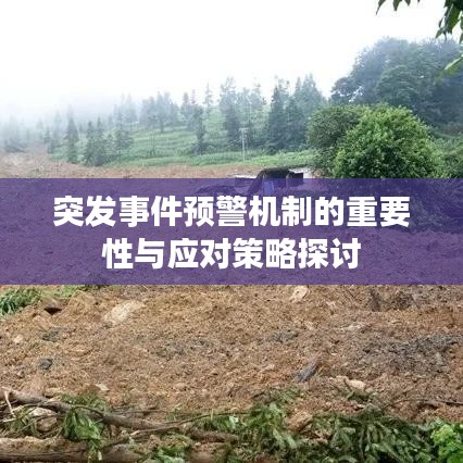 成功案例 第7页
