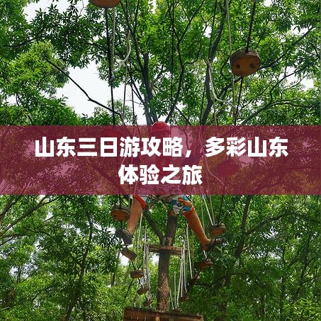 山东三日游攻略，多彩山东体验之旅