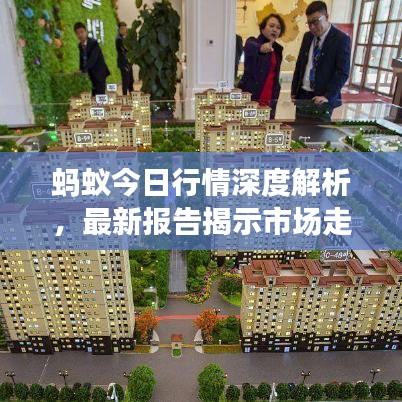 蚂蚁今日行情深度解析，最新报告揭示市场走势