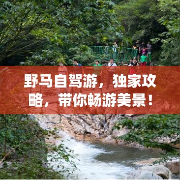 野马自驾游，独家攻略，带你畅游美景！