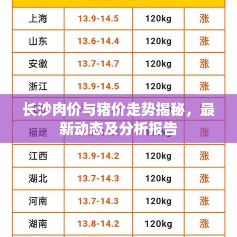长沙肉价与猪价走势揭秘，最新动态及分析报告