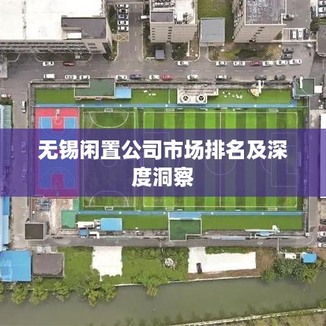 无锡闲置公司市场排名及深度洞察