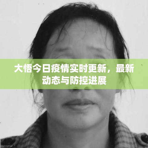 大悟今日疫情实时更新，最新动态与防控进展
