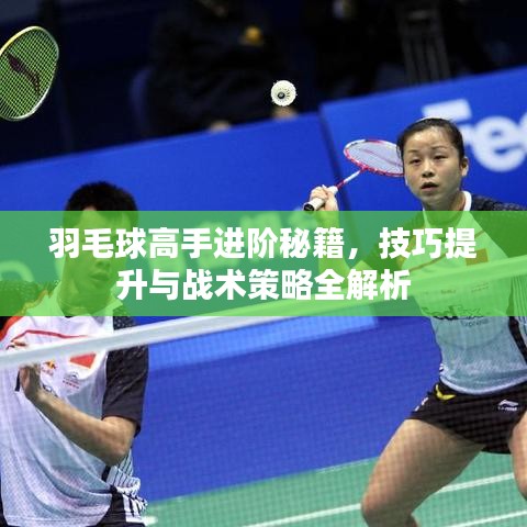 羽毛球高手进阶秘籍，技巧提升与战术策略全解析