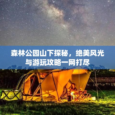 森林公园山下探秘，绝美风光与游玩攻略一网打尽