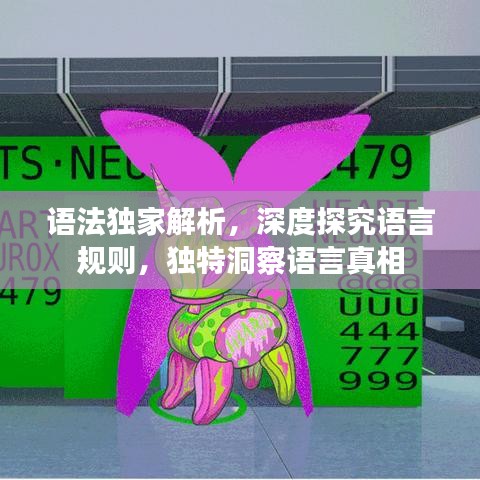 语法独家解析，深度探究语言规则，独特洞察语言真相