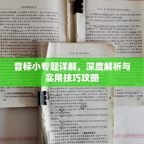 音标小专题详解，深度解析与实用技巧攻略