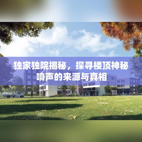 独家独院揭秘，探寻楼顶神秘响声的来源与真相