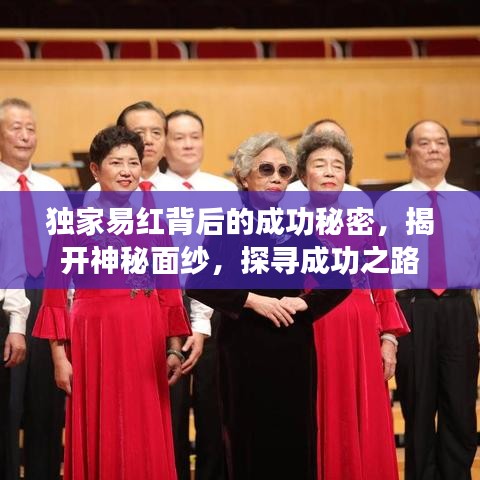 独家易红背后的成功秘密，揭开神秘面纱，探寻成功之路