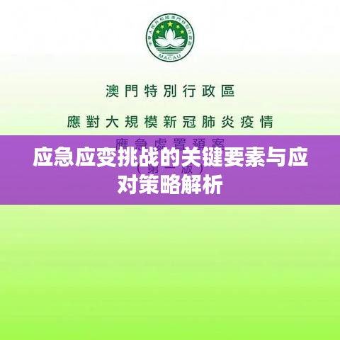 应急应变挑战的关键要素与应对策略解析