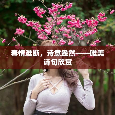 下载中心 第4页