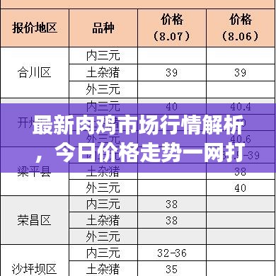 最新肉鸡市场行情解析，今日价格走势一网打尽