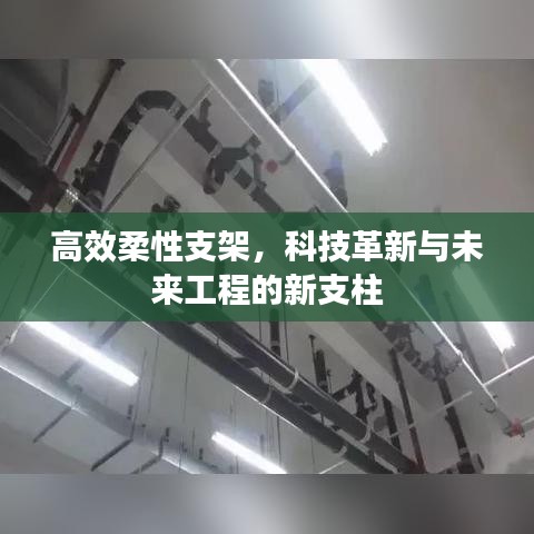 高效柔性支架，科技革新与未来工程的新支柱