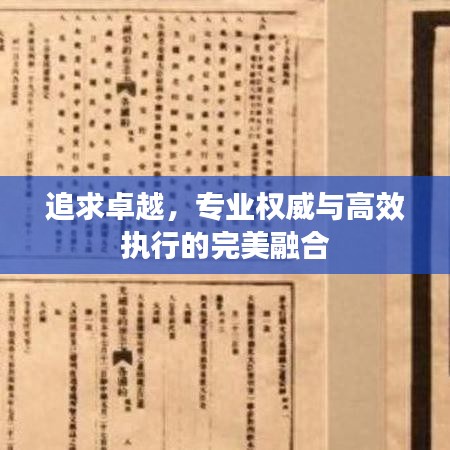 追求卓越，专业权威与高效执行的完美融合