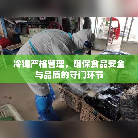 冷链严格管理，确保食品安全与品质的守门环节