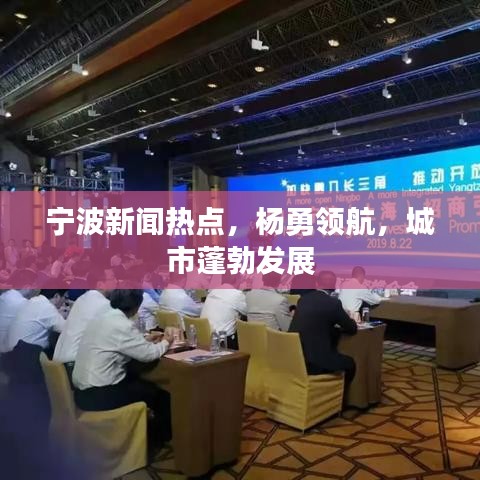 宁波新闻热点，杨勇领航，城市蓬勃发展